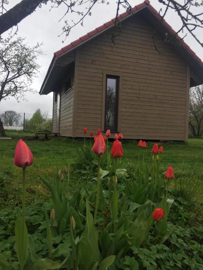 Cēsis Holiday House Ausekla Namins מראה חיצוני תמונה