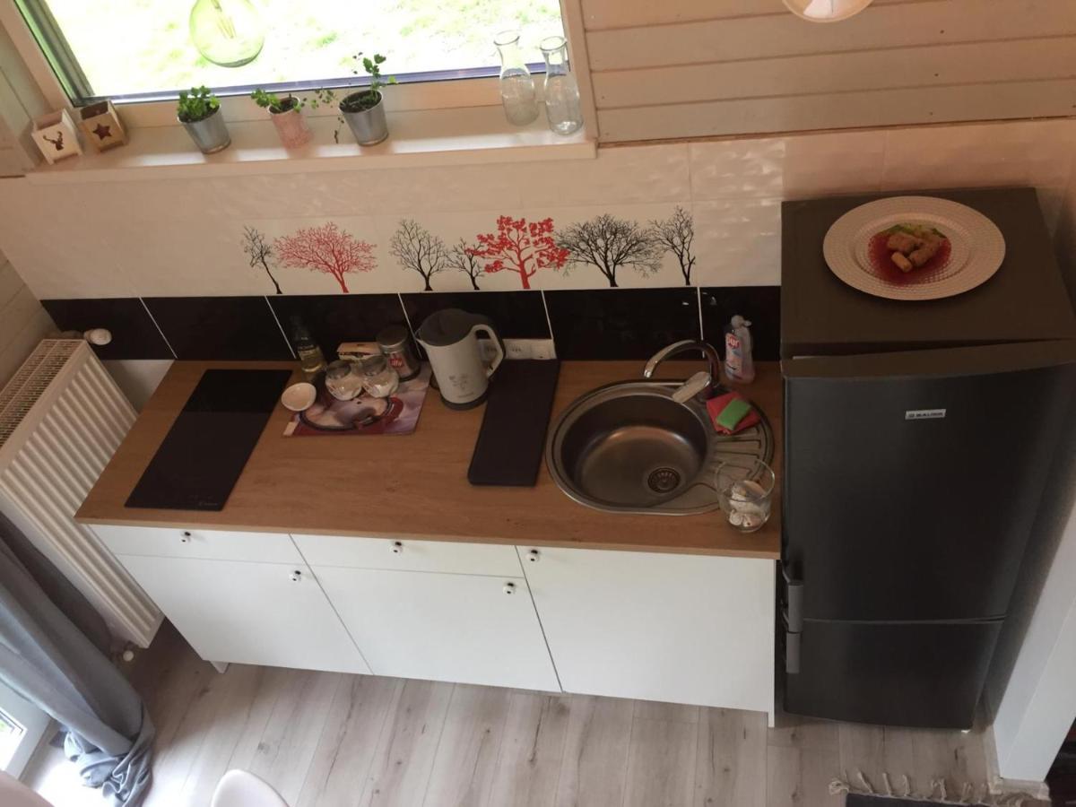 Cēsis Holiday House Ausekla Namins מראה חיצוני תמונה