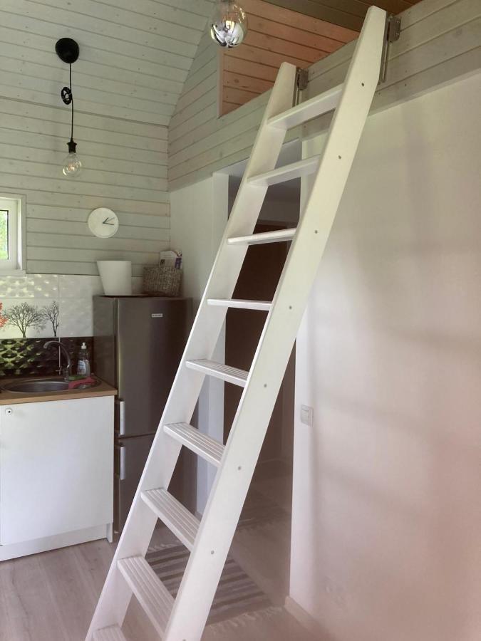 Cēsis Holiday House Ausekla Namins מראה חיצוני תמונה