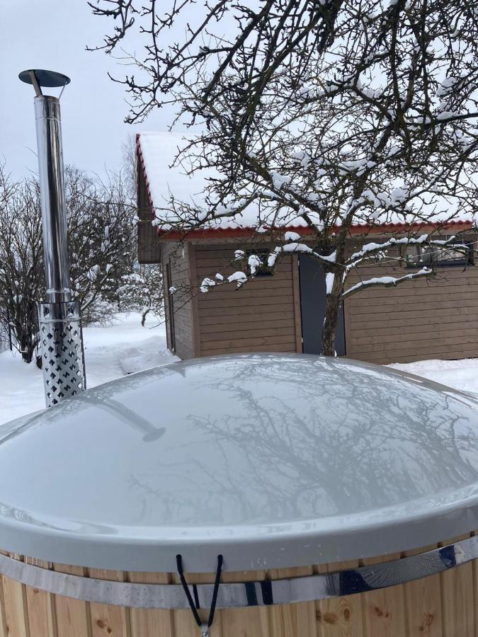 Cēsis Holiday House Ausekla Namins מראה חיצוני תמונה
