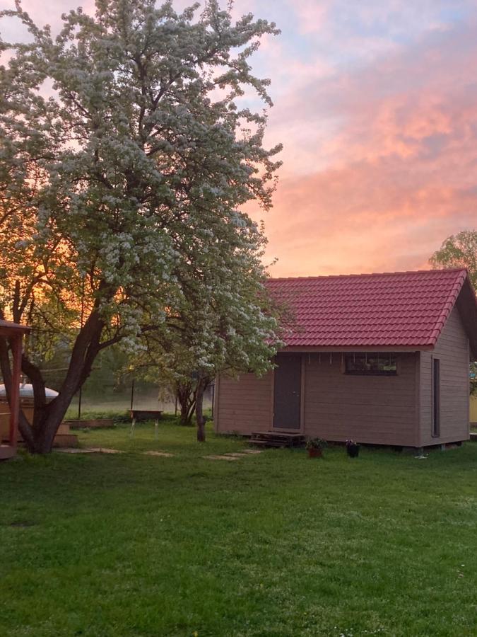 Cēsis Holiday House Ausekla Namins מראה חיצוני תמונה