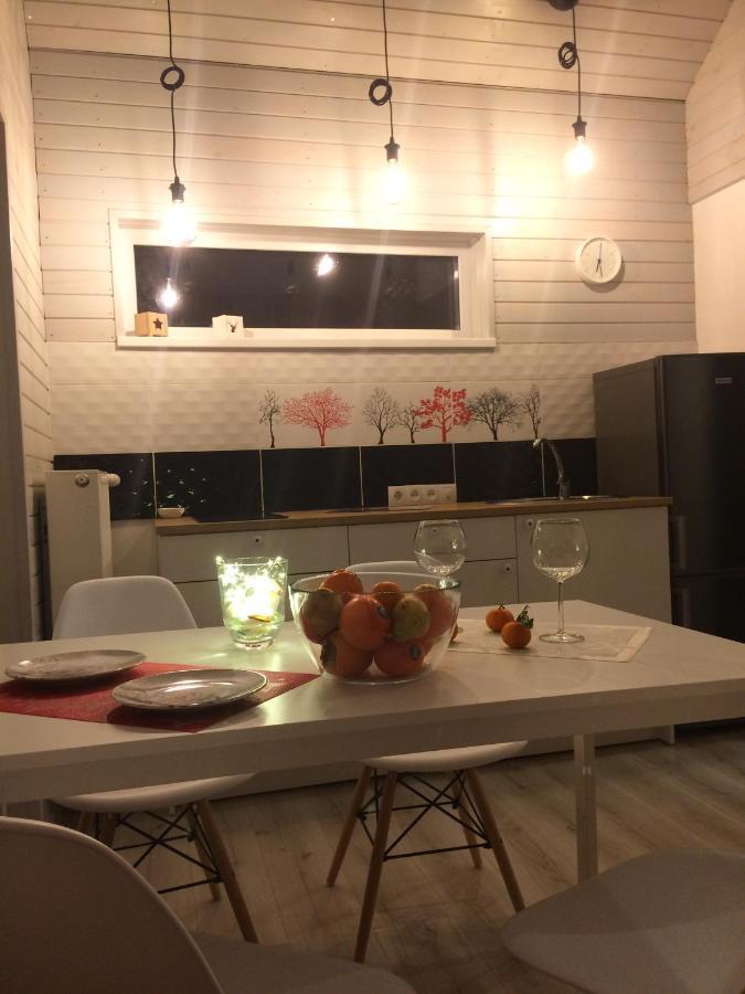Cēsis Holiday House Ausekla Namins מראה חיצוני תמונה